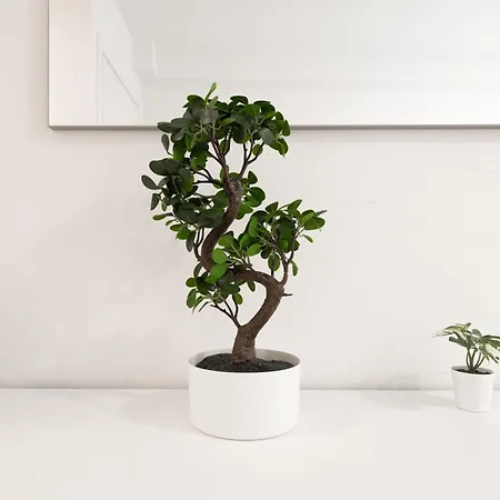 Apartmán New - Mg 8 House - Centre *