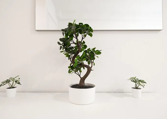 Apartmán New - Mg 8 House - Centre *